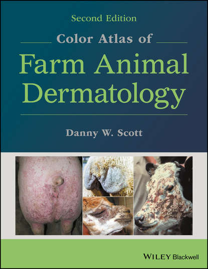 Color Atlas of Farm Animal Dermatology - Группа авторов