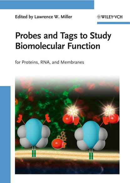 Probes and Tags to Study Biomolecular Function — Группа авторов