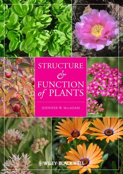 Structure and Function of Plants — Группа авторов