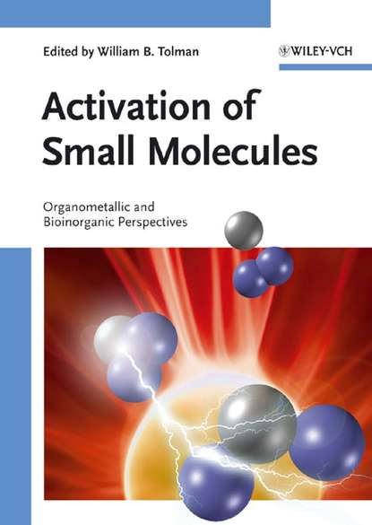 Activation of Small Molecules — Группа авторов