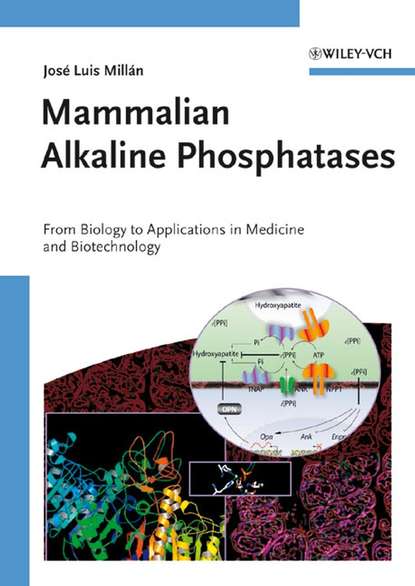 Mammalian Alkaline Phosphatases — Группа авторов