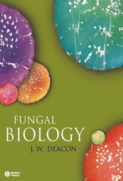 Fungal Biology - Группа авторов