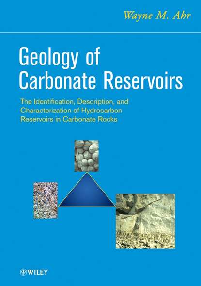 Geology of Carbonate Reservoirs - Группа авторов