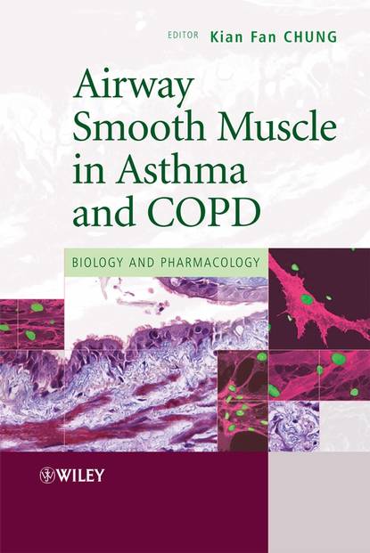 Airway Smooth Muscle in Asthma and COPD — Группа авторов