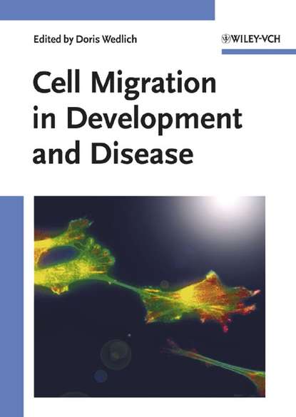 Cell Migration in Development and Disease — Группа авторов