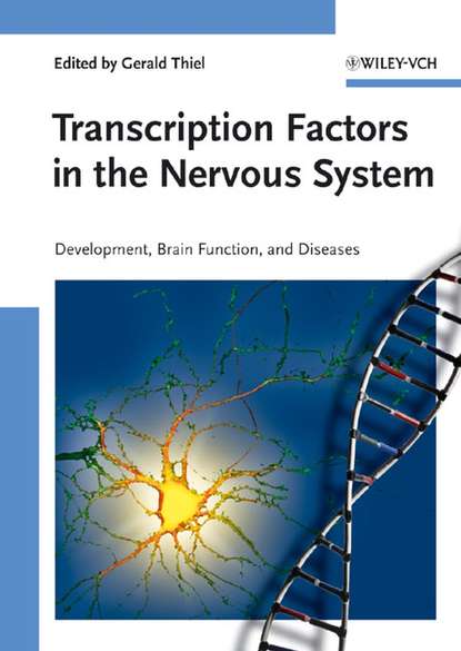 Transcription Factors in the Nervous System — Группа авторов