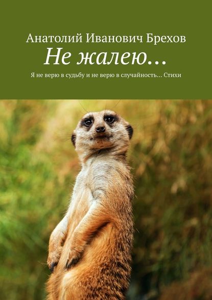 Не жалею… Я не верю в судьбу и не верю в случайность… Стихи — Анатолий Иванович Брехов