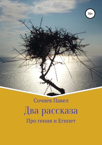 Два рассказа — Павел Николаевич Сочнев