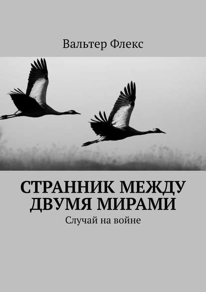 Странник между двумя мирами. Случай на войне — Вальтер Флекс