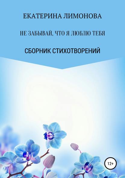 Не забывай, что я люблю тебя — Екатерина Лимонова