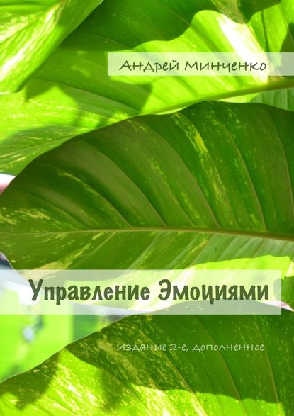 Управление эмоциями. Издание 2-е, дополненное — Андрей Николаевич Минченко