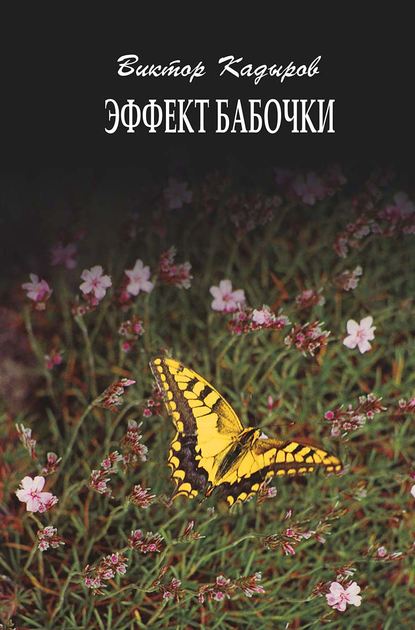 Эффект бабочки — В. В. Кадыров