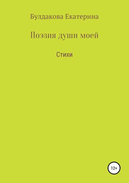 Поэзия души моей - Екатерина Дмитриевна Булдакова