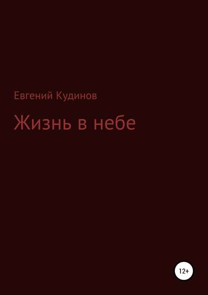 Жизнь в небе - Евгений Николаевич Кудинов