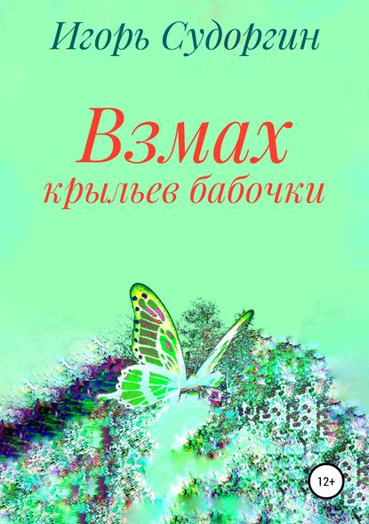 Взмах крыльев бабочки — Игорь Вячеславович Судоргин