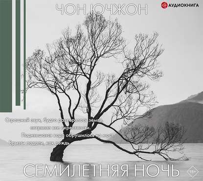 Семилетняя ночь - Чон Ючжон