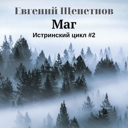 Маг — Евгений Щепетнов