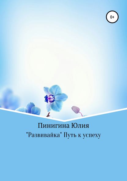 «Развивайка» Путь к успеху - Юлия Андреевна Пинигина