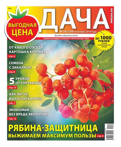 Дача Pressa.ru 19-2019 - Редакция газеты Дача Pressa.ru