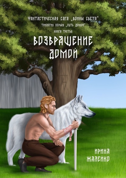 Возвращение домой. Книга третья. Фантастическая сага «Воины света». Трилогия первая «Путь домой» - Ирина Жалейко