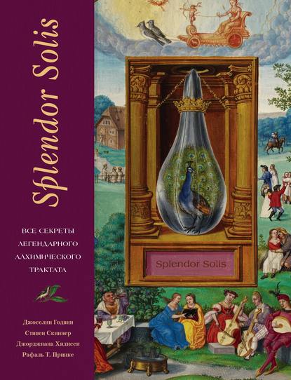 Splendor Solis. Все секреты легендарного алхимического трактата — Джоселин Годвин