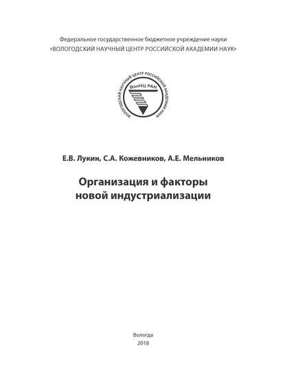 Организация и факторы новой индустриализации — Е. В. Лукин