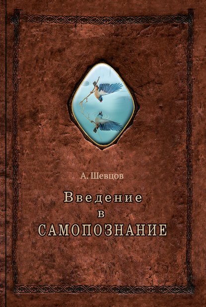 Введение в самопознание — Александр Шевцов (Андреев)