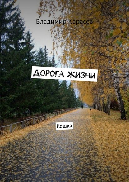 Дорога жизни. Кошка — Владимир Карасев