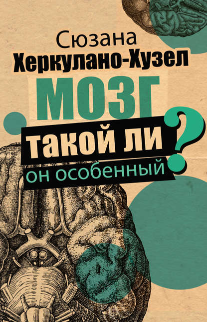 Мозг. Такой ли он особенный? - Сюзана Херкулано-Хузел