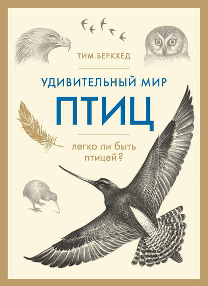 Удивительный мир птиц. Легко ли быть птицей? - Тим Беркхед