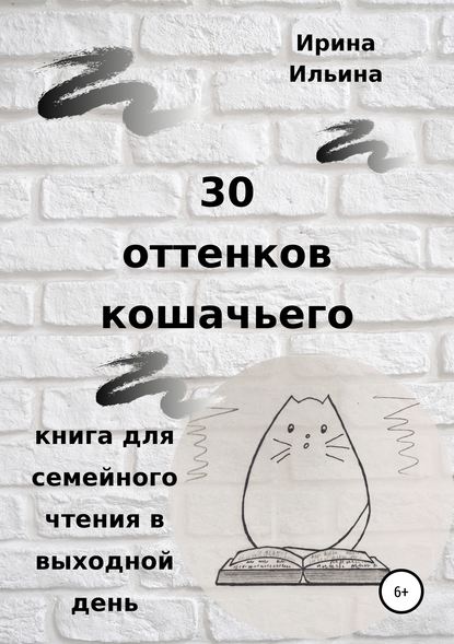 30 оттенков кошачьего. Книга для семейного чтения в выходной день - Ирина Ильина