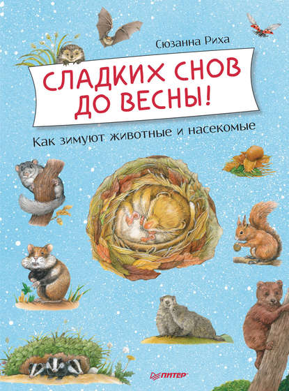 Сладких снов до весны! Как зимуют животные и насекомые — Сюзанна Риха