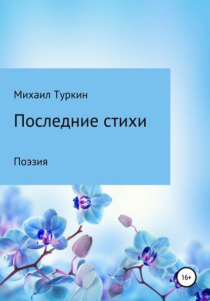 Последние стихи — Михаил Борисович Туркин