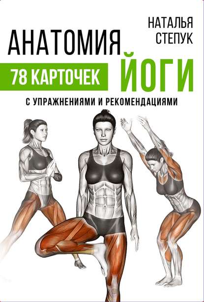 Анатомия йоги. 78 карточек с упражнениями и рекомендациями - Н. Г. Степук