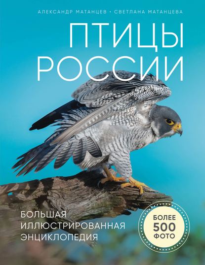 Птицы России. Большая иллюстрированная энциклопедия - Александр Матанцев