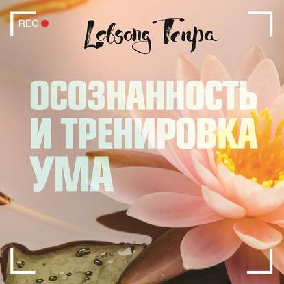 Осознанность и тренировка ума — Лобсанг Тенпа