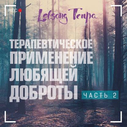 Терапевтическое применение практики любящей доброты. Часть 2 — Лобсанг Тенпа