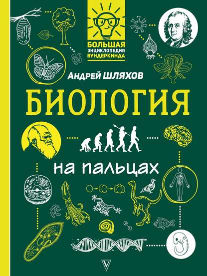 Биология на пальцах в иллюстрациях — Андрей Шляхов