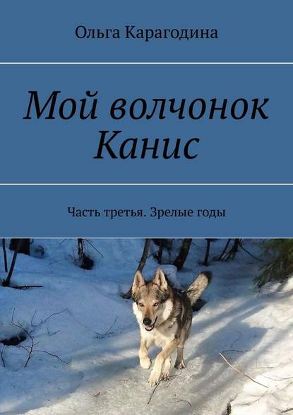 Мой волчонок Канис. Часть третья. Зрелые годы - Ольга Карагодина