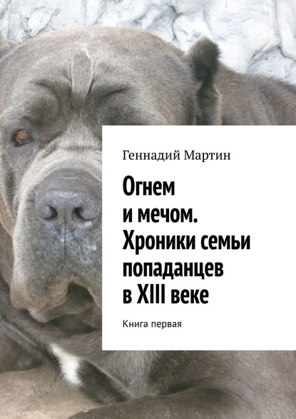 Огнем и мечом. Хроники семьи попаданцев в XIII веке. Книга первая - Геннадий Мартин