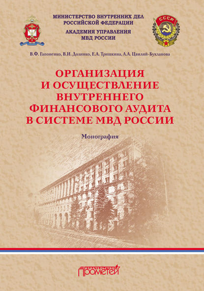 Организация и осуществление внутреннего финансового аудита в системе МВД России - Владимир Гапоненко