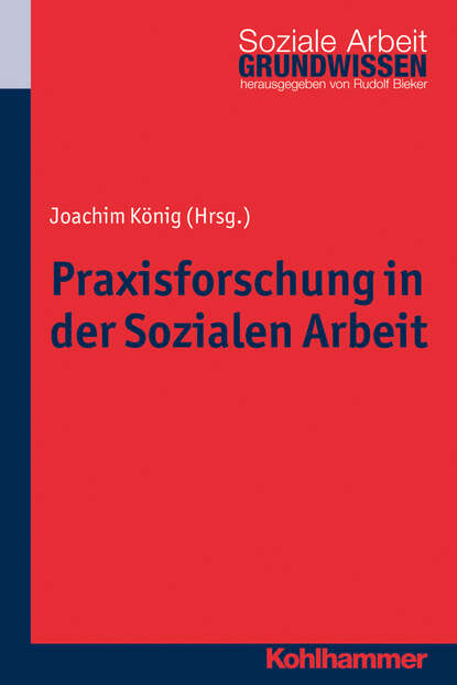 Praxisforschung in der Sozialen Arbeit - Группа авторов