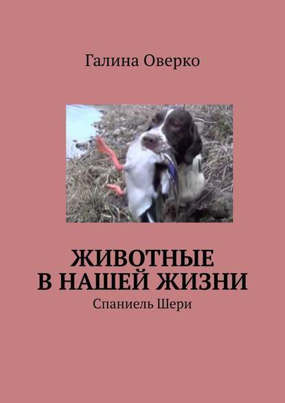 Животные в нашей жизни. Спаниель Шери — Галина Оверко