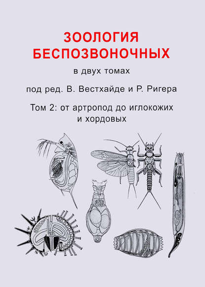 Зоология беспозвоночных. Том 2. От артропод до иглокожих и хордовых - Коллектив авторов