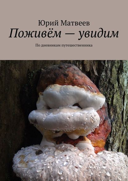 Поживём – увидим. По дневникам путешественника - Юрий Матвеев